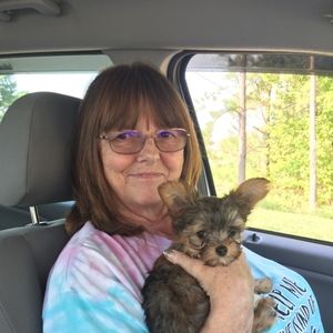 Meet your Posher, Donna